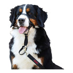 Ladda bilden i Galleri Viewer, V5H7A3BB16CFFA8D1B46D6331C95F2C9BB8R2354076P5
