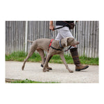 Ladda bilden i Galleri Viewer, V6H72E33F1F18B4E3B22A428569016794ACR4989138P3
