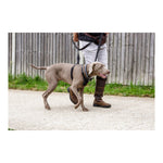 Ladda bilden i Galleri Viewer, V7HCBA8A103F9554E42B2A29D4F2FFA47F2R4989162P5

