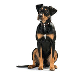 Ladda bilden i Galleri Viewer, V6HC6419105921A9832AD21722E9EA2E09FR3618762P4
