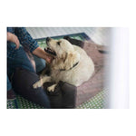 Ladda bilden i Galleri Viewer, V6H171CEF3B00C3A506DA337036A3C6A2B1R3618776P2
