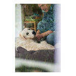 Ladda bilden i Galleri Viewer, V6H8C59432C14F581723D9809DF6C1254A9R3618777P3

