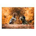 Ladda bilden i Galleri Viewer, V6HED2B4B30F71D7DB71C8930B8B4A91F4ER3618419P4
