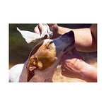 Ladda bilden i Galleri Viewer, V7H13945F49FBE125FA5A783BD5282EA0F9R4219820P4
